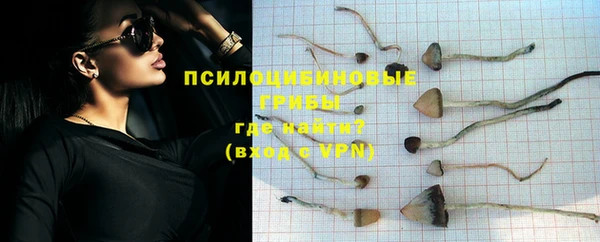 прущие крисы Бородино