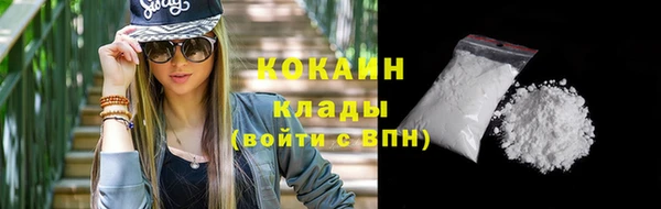 прущие крисы Бородино
