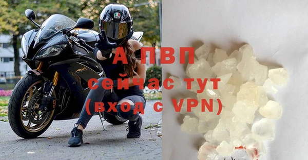 молекула духа Бугульма
