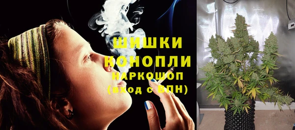 молекула духа Бугульма