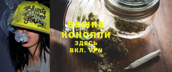 индика Богородицк