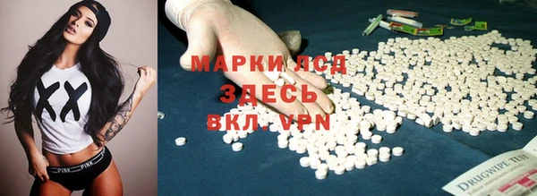 прущие крисы Бородино