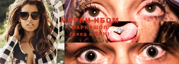 прущие крисы Бородино