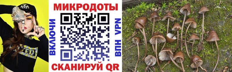 Галлюциногенные грибы ЛСД цена Межгорье